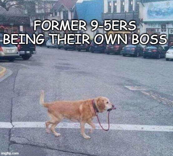 Dog by itself | FORMER 9-5ERS BEING THEIR OWN BOSS | image tagged in dog by itself | made w/ Imgflip meme maker