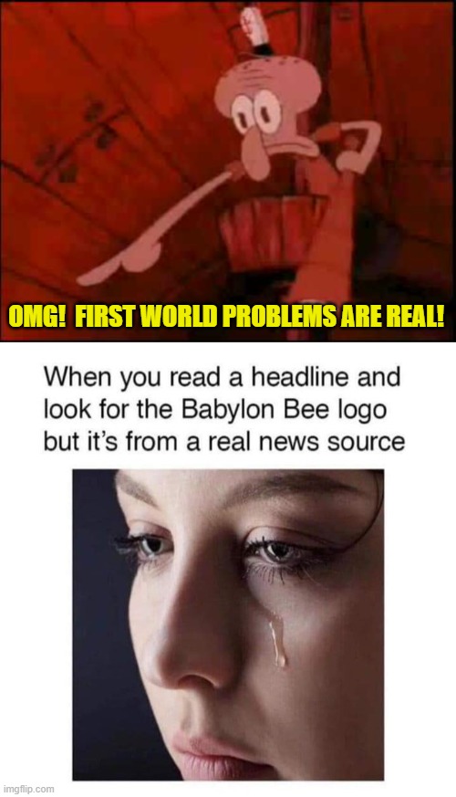Shed a tear over First World Problems. | OMG!  FIRST WORLD PROBLEMS ARE REAL! | image tagged in yep | made w/ Imgflip meme maker