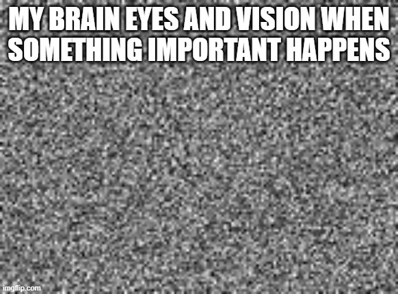 static | MY BRAIN EYES AND VISION WHEN
SOMETHING IMPORTANT HAPPENS | image tagged in static | made w/ Imgflip meme maker