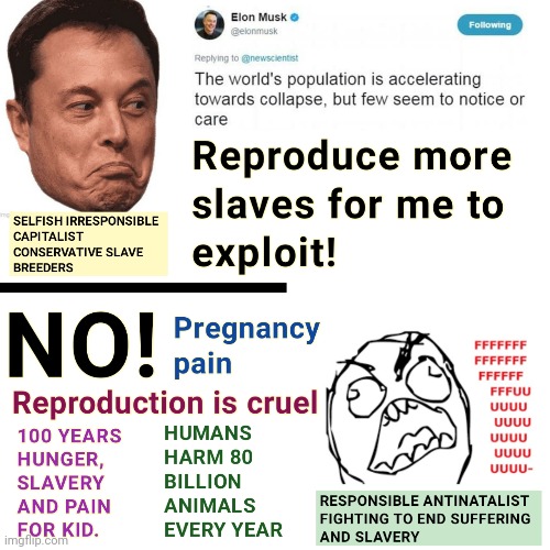 Conservative elon musk meme | image tagged in conservatives,elon musk,conservative logic | made w/ Imgflip meme maker