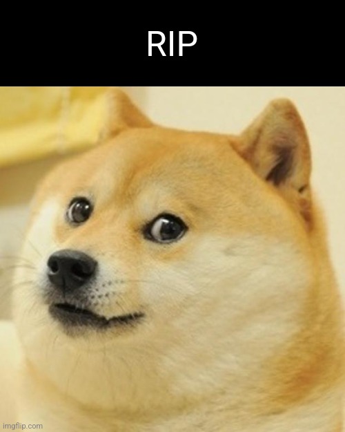 Doge Meme | RIP | image tagged in memes,doge | made w/ Imgflip meme maker
