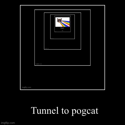 Tunnel to pogcat | | image tagged in funny,demotivationals | made w/ Imgflip demotivational maker