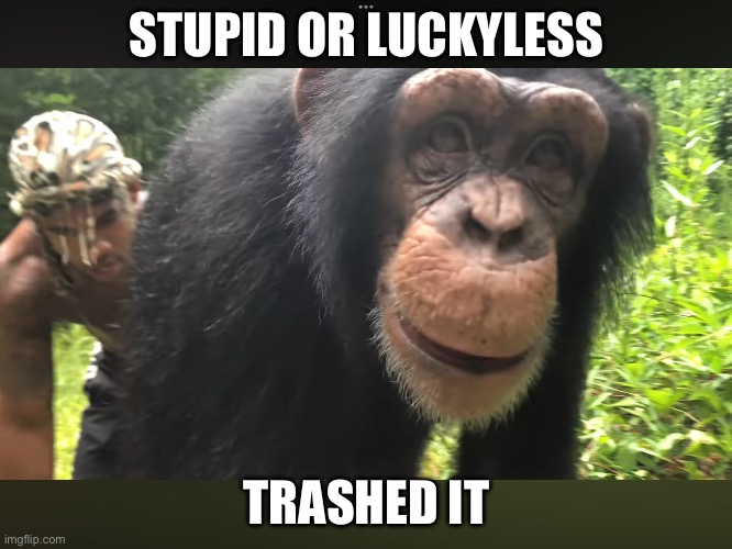 Stupid or Lucky | STUPID OR LUCKYLESS; TRASHED IT | image tagged in stupid | made w/ Imgflip meme maker