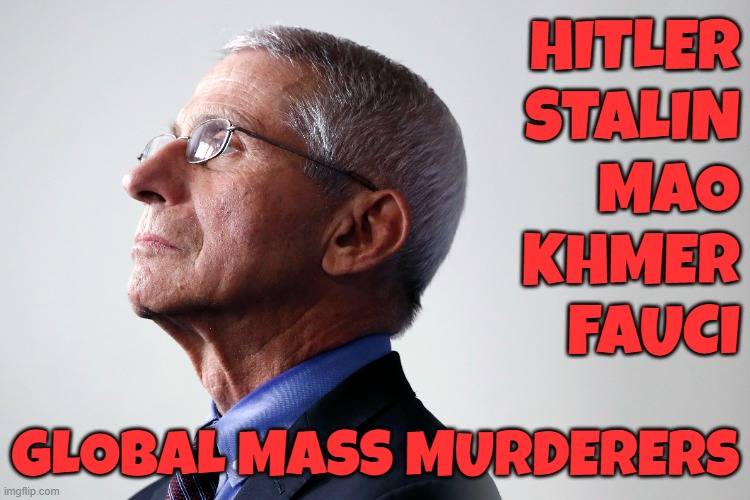 Body Counts in the House | HITLER
STALIN
MAO
KHMER
FAUCI; GLOBAL MASS MURDERERS | image tagged in dr fauci,fauci,hitler,mao,stalin,genocide | made w/ Imgflip meme maker