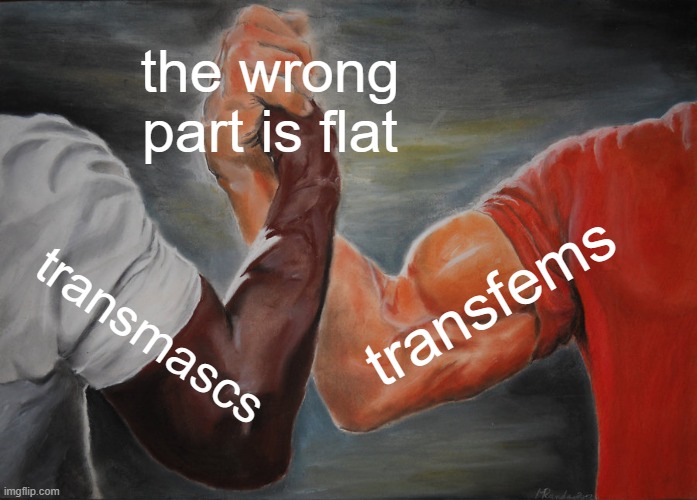 Epic Handshake | the wrong part is flat; transfems; transmascs | image tagged in memes,epic handshake | made w/ Imgflip meme maker