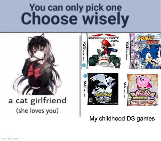 Just choose | My childhood DS games | image tagged in choose wisely,memes,nintendo,video games,sonic the hedgehog,front page plz | made w/ Imgflip meme maker