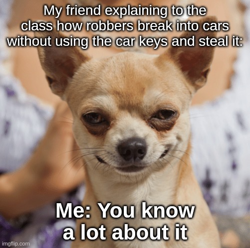 This happened in real life with me, nothing changed - Term 2 Hindi Class | My friend explaining to the class how robbers break into cars without using the car keys and steal it:; Me: You know a lot about it | image tagged in evil dog smile smirk | made w/ Imgflip meme maker