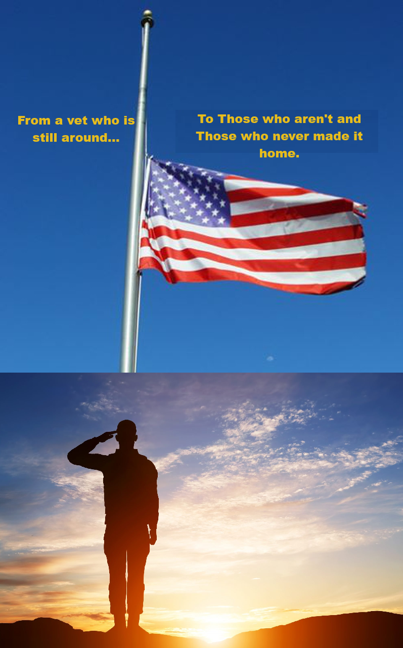 Memorial Day Blank Meme Template