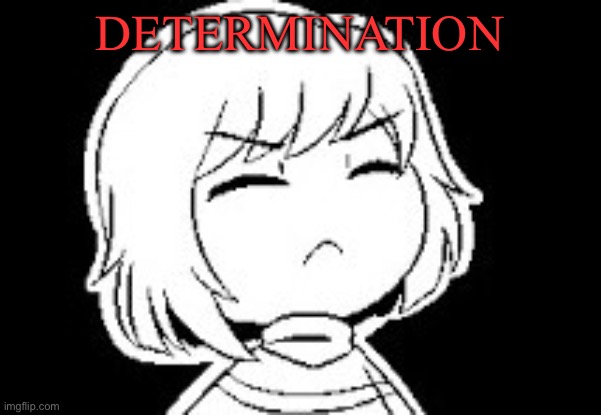Filled with Determination | DETERMINATION | image tagged in filled with determination | made w/ Imgflip meme maker