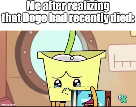 First, Cheems had died, and now it's Doge | Me after realizing that Doge had recently died: | image tagged in doge,memes,cheems | made w/ Imgflip meme maker