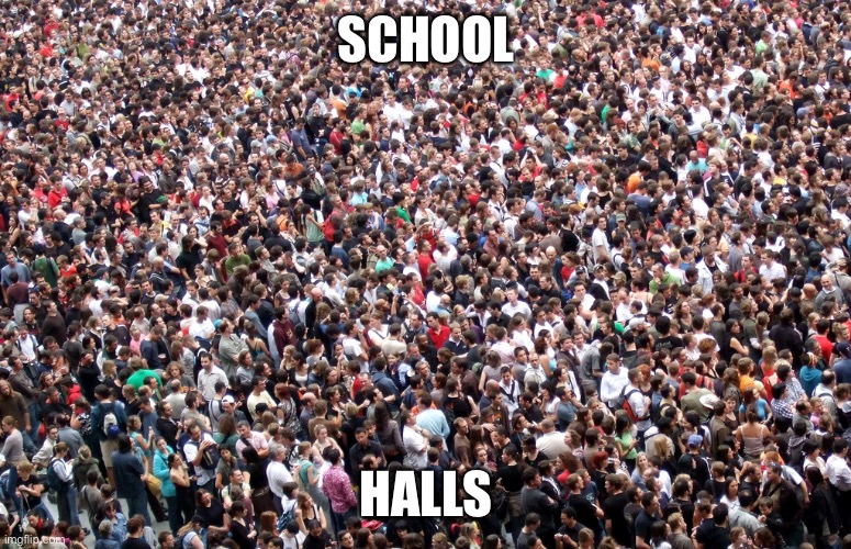 It a war zone getting from one class to the next | SCHOOL; HALLS | image tagged in crowd of people,school | made w/ Imgflip meme maker
