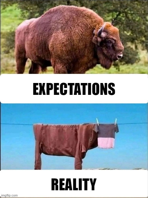 Expectations vs reality | EXPECTATIONS; REALITY | image tagged in expectations vs reality | made w/ Imgflip meme maker