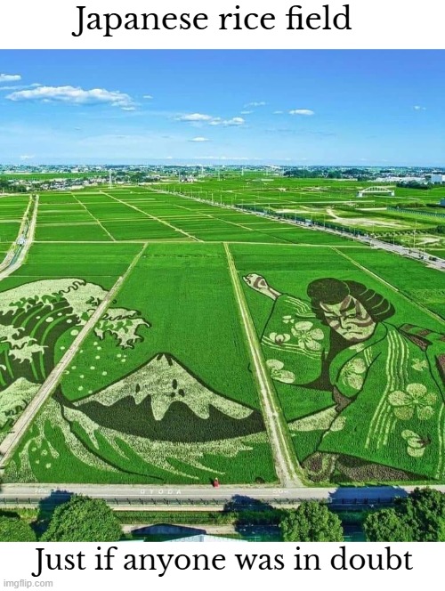 Japanese rice field; Just if anyone was in doubt | image tagged in japan,sarcasm,funny | made w/ Imgflip meme maker