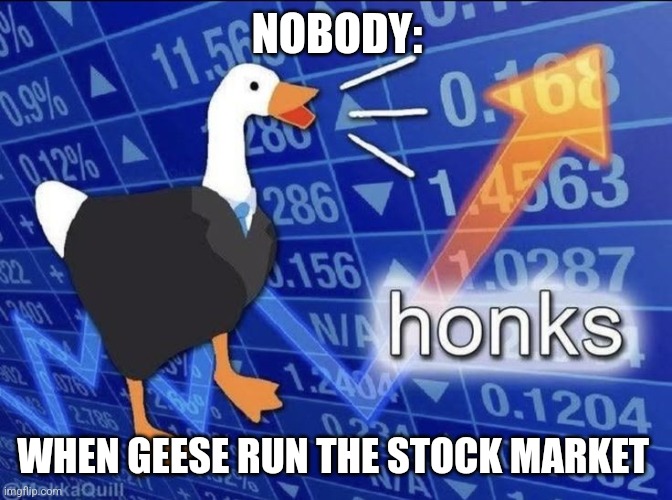 Geese are running the stock market | NOBODY:; WHEN GEESE RUN THE STOCK MARKET | image tagged in honks,jpfan102504 | made w/ Imgflip meme maker