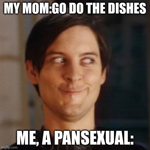 hehehe | MY MOM:GO DO THE DISHES; ME, A PANSEXUAL: | image tagged in sneaky face,pansexual,dishes | made w/ Imgflip meme maker