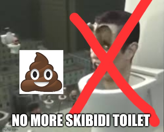 Skibidi toilet meme | NO MORE SKIBIDI TOILET | image tagged in skibidi toilet meme | made w/ Imgflip meme maker
