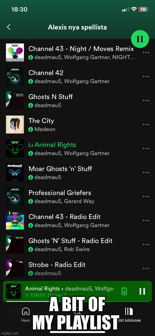 A BIT OF MY PLAYLIST | made w/ Imgflip meme maker