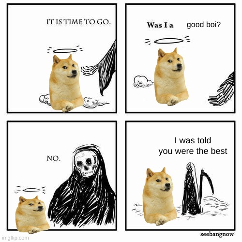 R.I.P  Kabosu... | good boi? I was told you were the best | image tagged in it is time to go | made w/ Imgflip meme maker