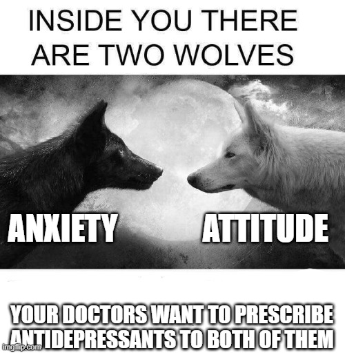 who's a scawy woffy? | ANXIETY              ATTITUDE; YOUR DOCTORS WANT TO PRESCRIBE ANTIDEPRESSANTS TO BOTH OF THEM | image tagged in inside you there are two wolves | made w/ Imgflip meme maker
