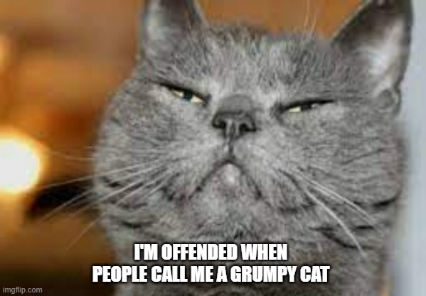 memes by Brad - grumpy cat | I'M OFFENDED WHEN PEOPLE CALL ME A GRUMPY CAT | image tagged in funny,cats,funny cat memes,cute kitten,kittens,humor | made w/ Imgflip meme maker