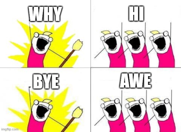 What Do We Want | WHY; HI; AWE; BYE | image tagged in memes,what do we want | made w/ Imgflip meme maker