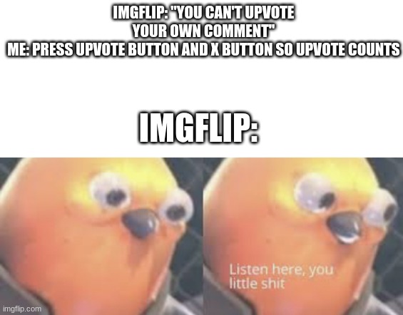 Just to be clear, I don't upvote my own stuff: not even on reddit | IMGFLIP: "YOU CAN'T UPVOTE YOUR OWN COMMENT"
ME: PRESS UPVOTE BUTTON AND X BUTTON SO UPVOTE COUNTS; IMGFLIP: | image tagged in listen here you little shit bird | made w/ Imgflip meme maker