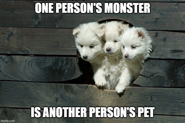 Cerberus Pups | ONE PERSON'S MONSTER; IS ANOTHER PERSON'S PET | image tagged in cerberus pups | made w/ Imgflip meme maker