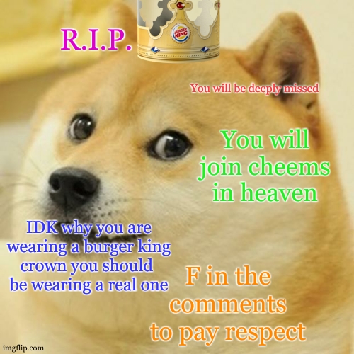 F in the comments to pay respects | R.I.P. You will be deeply missed; You will join cheems in heaven; IDK why you are
 wearing a burger king 
crown you should 
be wearing a real one; F in the comments to pay respect | image tagged in memes,doge,cheems,memories,rip,oh wow are you actually reading these tags | made w/ Imgflip meme maker