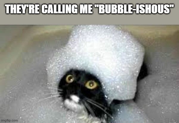 memes by Brad - funny cat covered in bubbles | THEY'RE CALLING ME "BUBBLE-ISHOUS" | image tagged in funny,cats,funny cat memes,kittens,cute kittens,humor | made w/ Imgflip meme maker