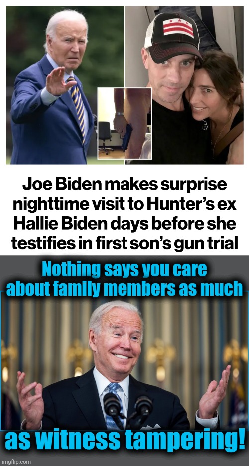 What else would you expect from the head of the Biden Crime Syndicate?! | Nothing says you care about family members as much; as witness tampering! | image tagged in memes,joe biden,witness tampering,democrats,corruption,hallie biden | made w/ Imgflip meme maker