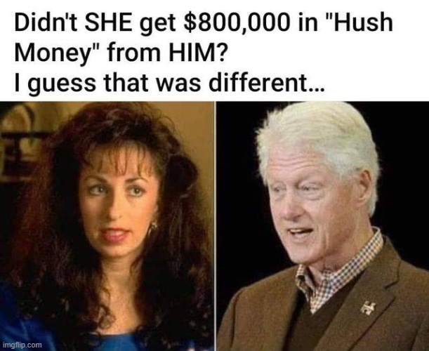 Hush Money the Clintons | image tagged in bill clinton,hillary clinton,double standards,double standard,clinton foundation,government corruption | made w/ Imgflip meme maker