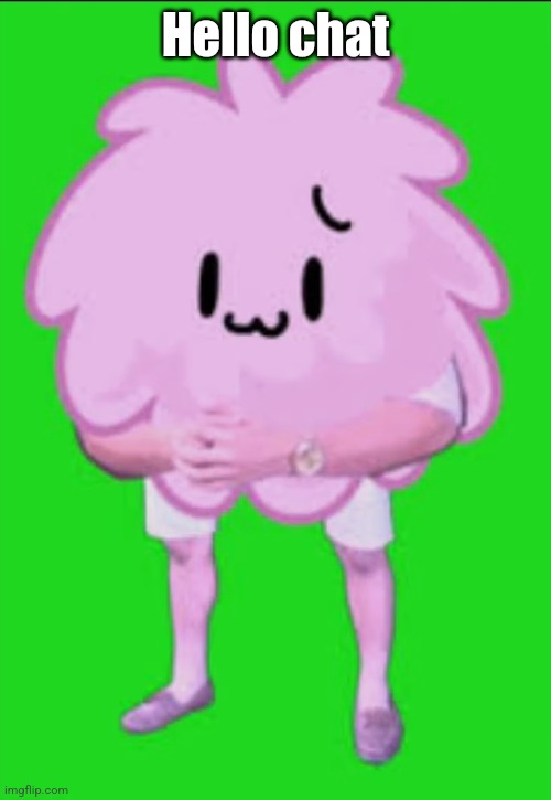 Cursed puffball | Hello chat | image tagged in cursed puffball | made w/ Imgflip meme maker