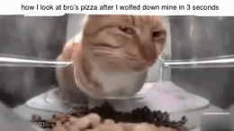 can u spare a slice - Imgflip