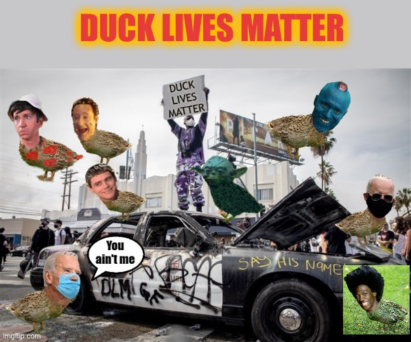 What The Duck!! | DUCK LIVES MATTER | image tagged in duck lives matter,i dont give a duck | made w/ Imgflip meme maker