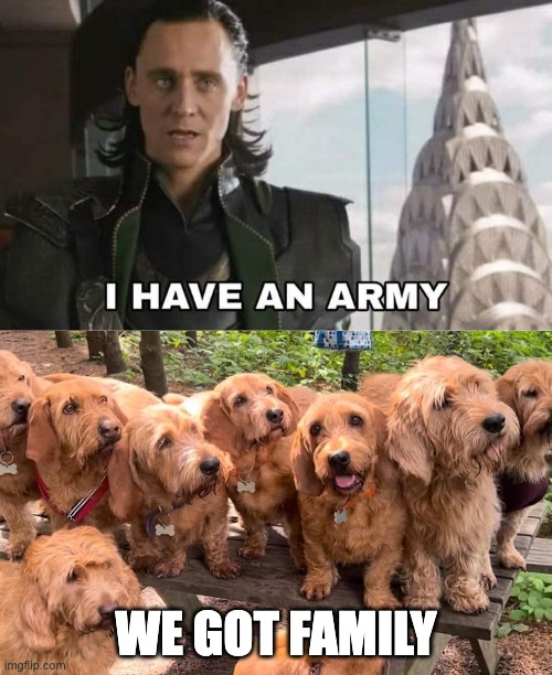 Family | WE GOT FAMILY | image tagged in family,dogs | made w/ Imgflip meme maker