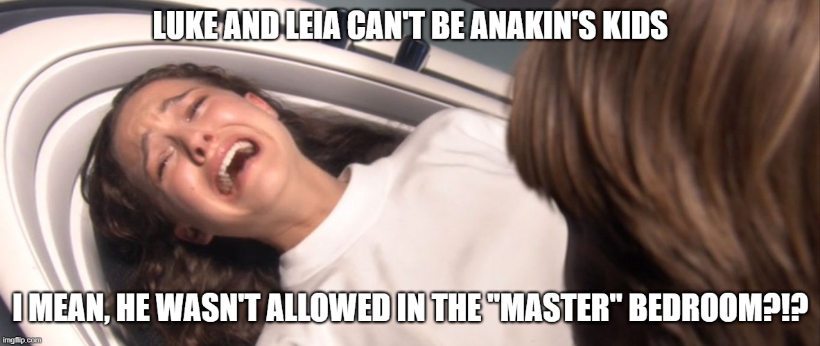 Not Anakin's Offspring? | LUKE AND LEIA CAN'T BE ANAKIN'S KIDS; I MEAN, HE WASN'T ALLOWED IN THE "MASTER" BEDROOM?!? | image tagged in star wars padme losing the will to live over tfa | made w/ Imgflip meme maker