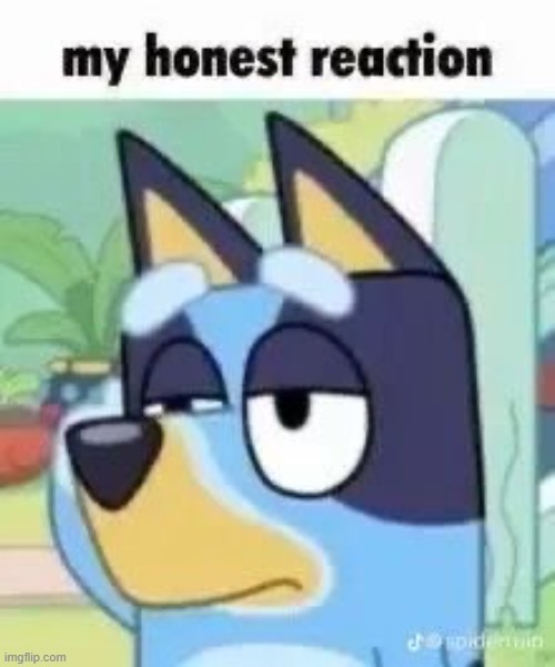My Honest Reaction | image tagged in my honest reaction | made w/ Imgflip meme maker
