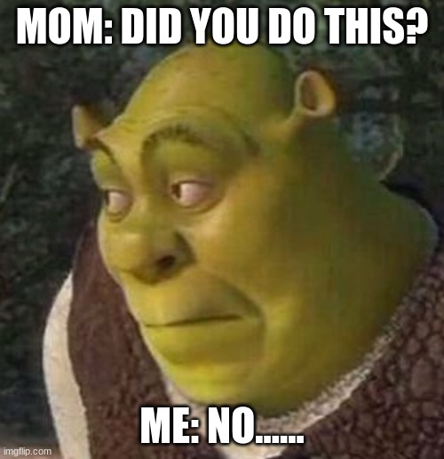 True Shrek | MOM: DID YOU DO THIS? ME: NO...... | image tagged in shrek | made w/ Imgflip meme maker