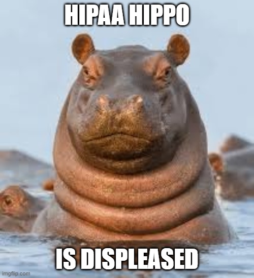 Hipaa hippo | HIPAA HIPPO; IS DISPLEASED | image tagged in health,law,healthcare,health care | made w/ Imgflip meme maker