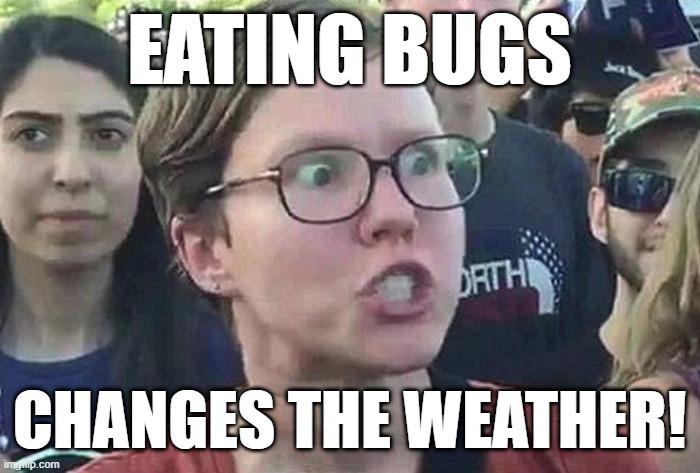 Triggered Liberal | EATING BUGS CHANGES THE WEATHER! | image tagged in triggered liberal | made w/ Imgflip meme maker