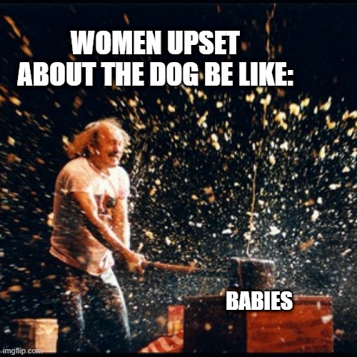 Gallagher watermelon hammer smash | WOMEN UPSET ABOUT THE DOG BE LIKE: BABIES | image tagged in gallagher watermelon hammer smash | made w/ Imgflip meme maker