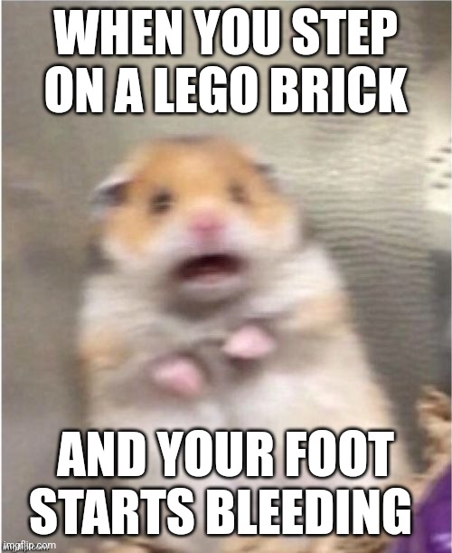 Oh god | WHEN YOU STEP ON A LEGO BRICK; AND YOUR FOOT STARTS BLEEDING | image tagged in scared hamster | made w/ Imgflip meme maker