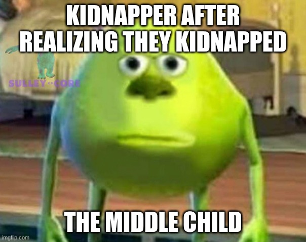 Bruh | KIDNAPPER AFTER REALIZING THEY KIDNAPPED; THE MIDDLE CHILD | image tagged in monsters inc | made w/ Imgflip meme maker