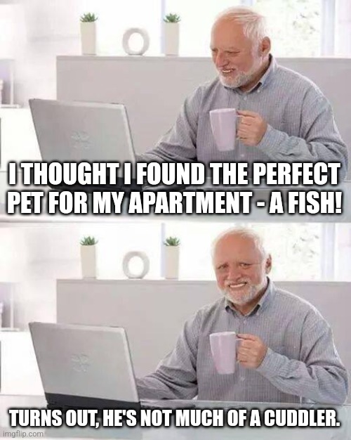 Hide the Pain Harold Meme | I THOUGHT I FOUND THE PERFECT PET FOR MY APARTMENT - A FISH! TURNS OUT, HE'S NOT MUCH OF A CUDDLER. | image tagged in memes,hide the pain harold | made w/ Imgflip meme maker