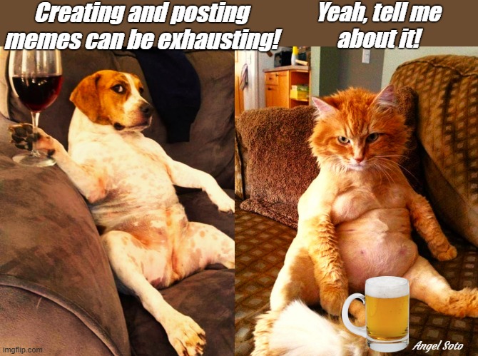 exhausted cat and dog memers | Creating and posting
memes can be exhausting! Yeah, tell me
about it! Angel Soto | image tagged in a dog taking it easy sipping wine,a cat taking it easy drinking beer,exhausted,cat memes,dog memes,memes about memes | made w/ Imgflip meme maker