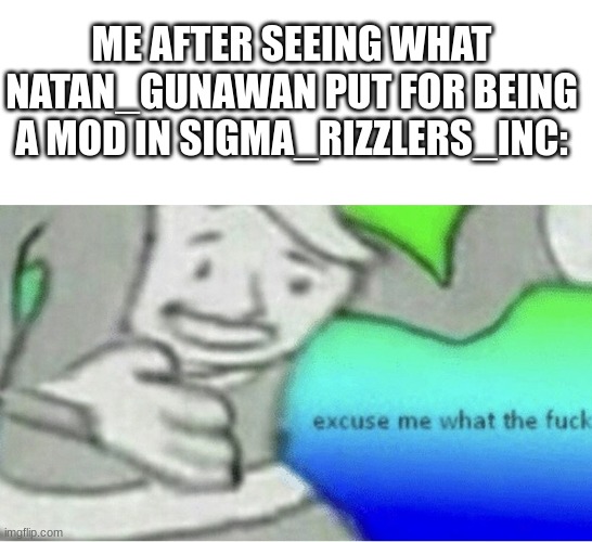 Excuse me wtf blank template | ME AFTER SEEING WHAT NATAN_GUNAWAN PUT FOR BEING A MOD IN SIGMA_RIZZLERS_INC: | image tagged in excuse me wtf blank template | made w/ Imgflip meme maker