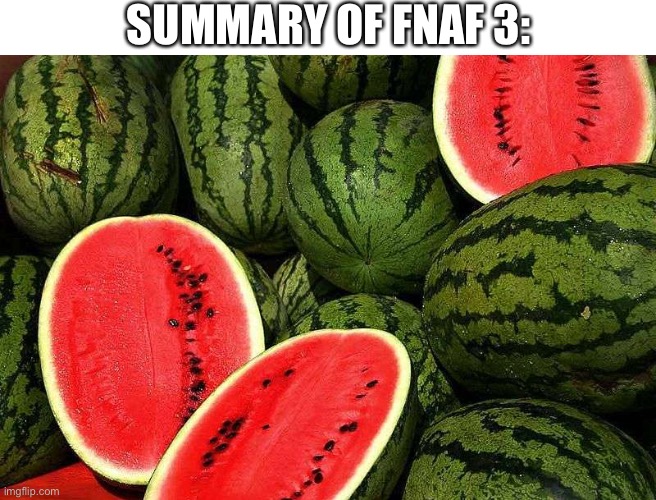 SUMMARY OF FNAF 3: | image tagged in watermelons | made w/ Imgflip meme maker