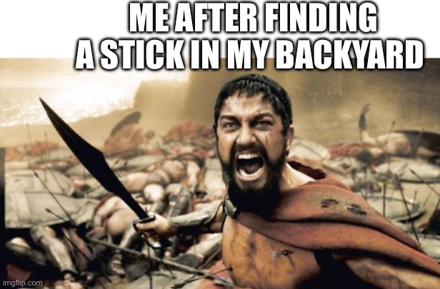 Sparta Leonidas Meme | ME AFTER FINDING A STICK IN MY BACKYARD | image tagged in memes,sparta leonidas | made w/ Imgflip meme maker