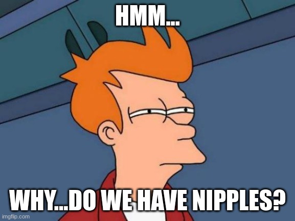 Futurama Fry | HMM... WHY...DO WE HAVE NIPPLES? | image tagged in memes,futurama fry | made w/ Imgflip meme maker