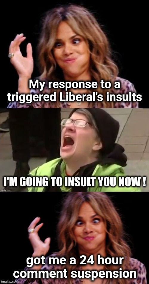 Everything is insulting to Libs now | My response to a triggered Liberal's insults; got me a 24 hour 
comment suspension | image tagged in be careful,their feelings,fragile,flagging trolls,liberal hypocrisy | made w/ Imgflip meme maker